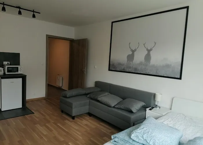 Brand New Studio Apartment #31 In Brand New Building With Free Parking In The Center