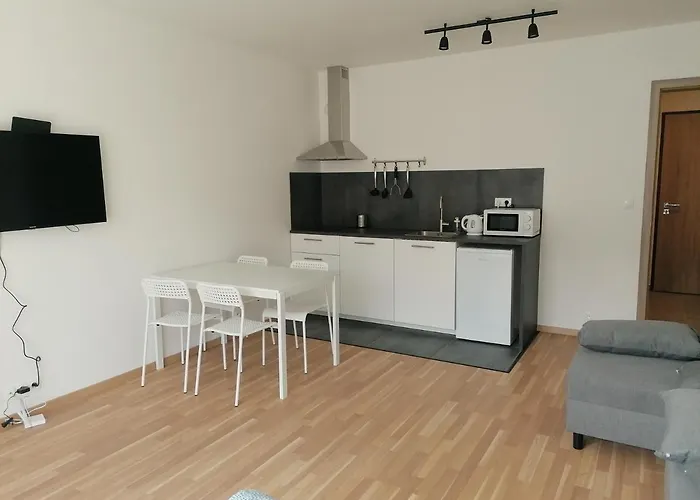 Brand New Studio Apartment #31 In Brand New Building With Free Parking In The Center